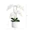 2ft. Orchid Arrangement in Decorative Ceramic Vase
